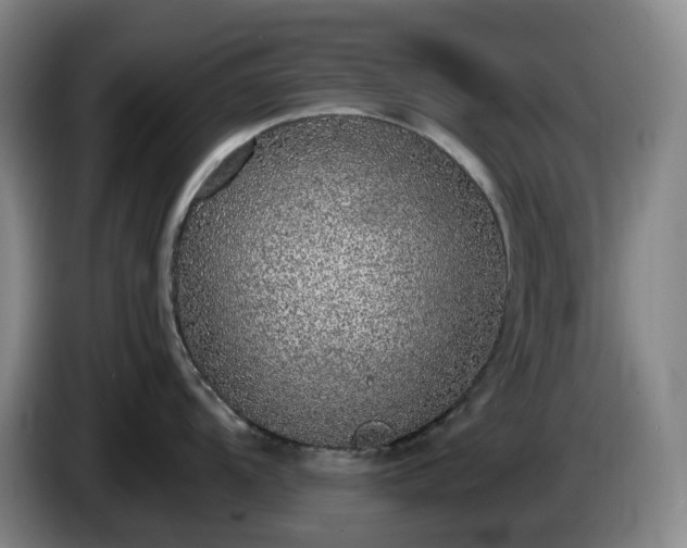 X0000085001104200703121455