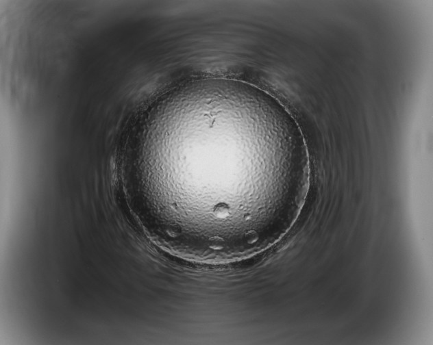 X0000085001106200703121454