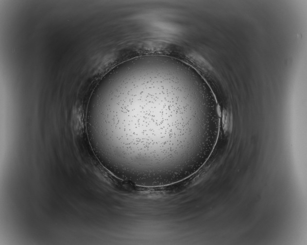 X0000085001107200703121454