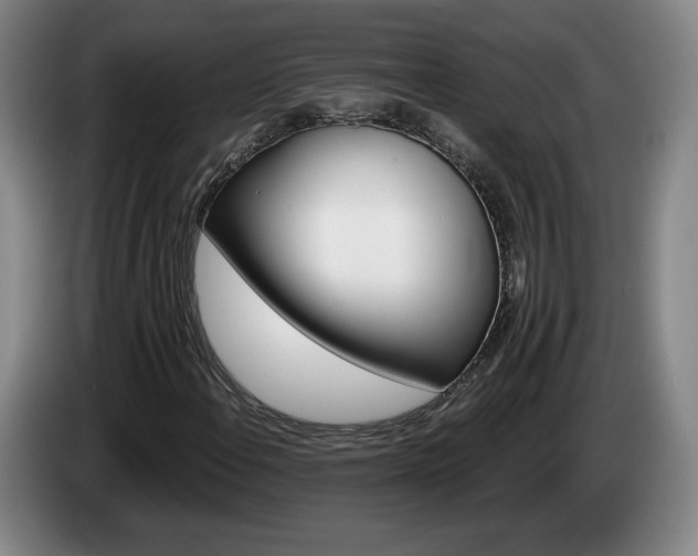 X0000085001108200703121454