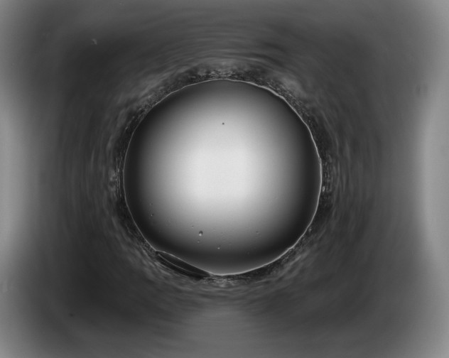 X0000085001109200703121454