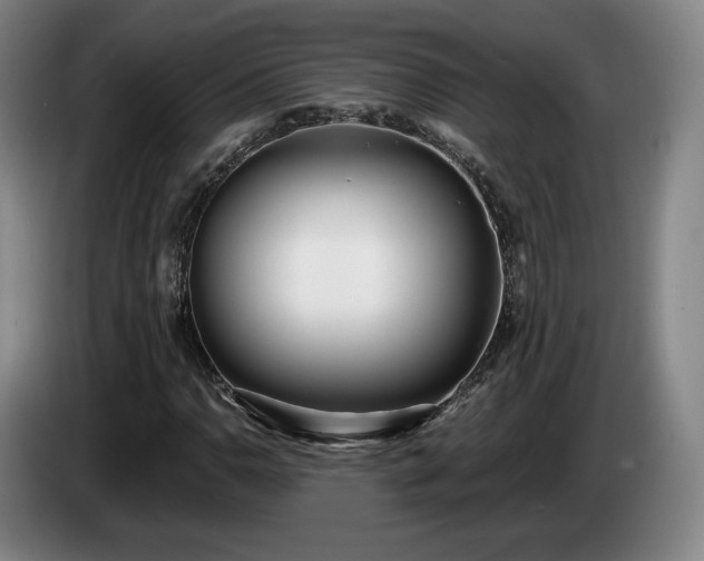 X0000085001110200703121454