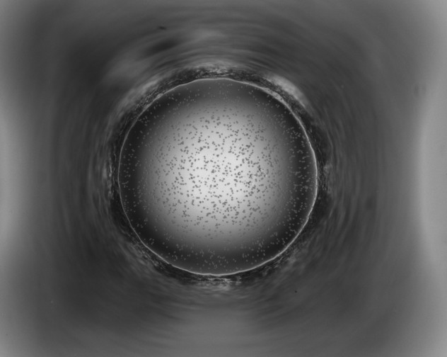 X0000085001111200703121454