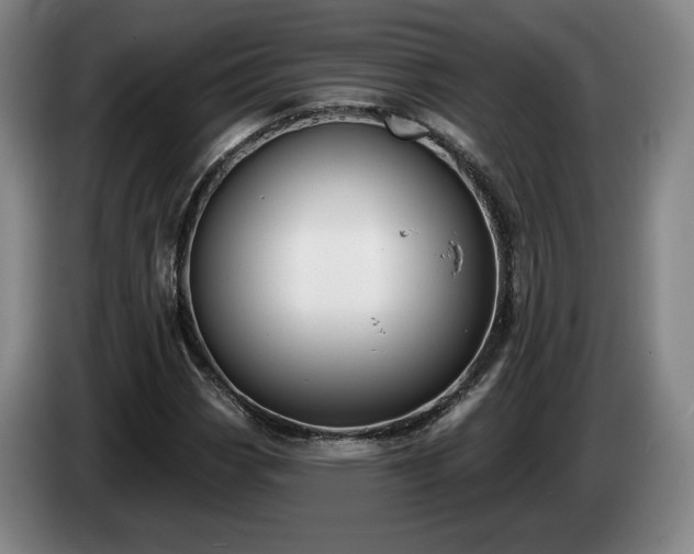 X0000085001113200703121454