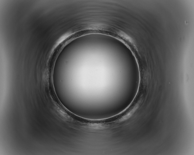 X0000085001114200703121454