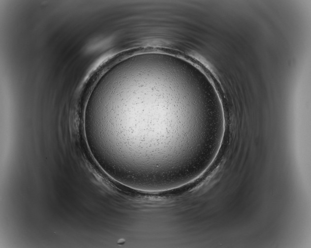 X0000085001115200703121454