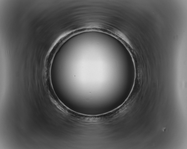 X0000085001116200703121454