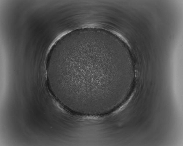 X0000085001117200703121454