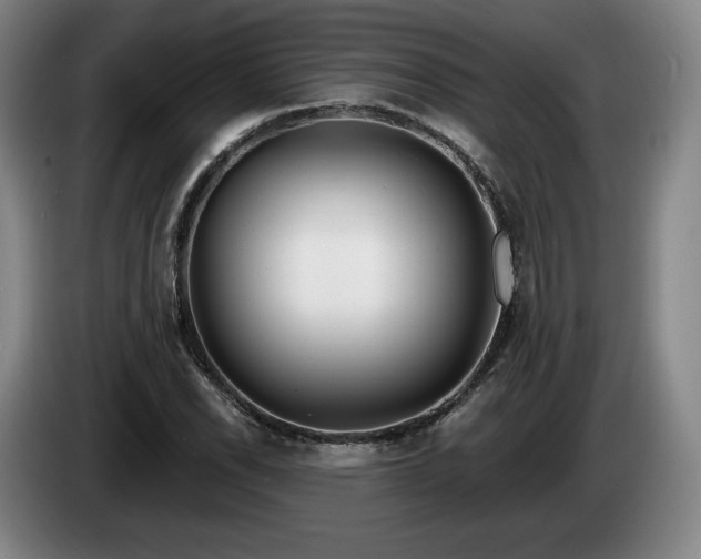 X0000085001118200703121454