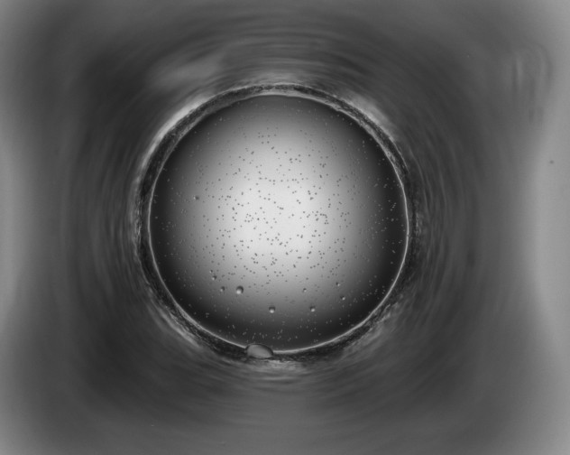 X0000085001119200703121454