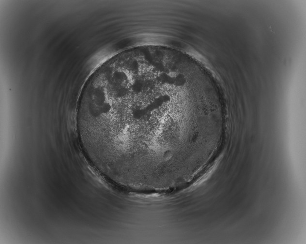 X0000085001121200703121454