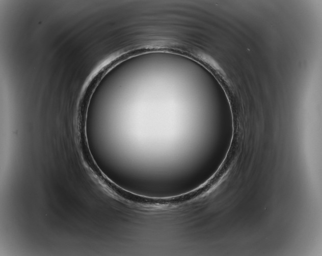 X0000085001122200703121454