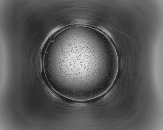 X0000085001123200703121454