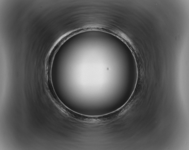 X0000085001124200703121454