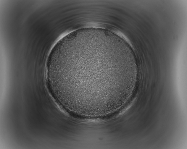 X0000085001125200703121455