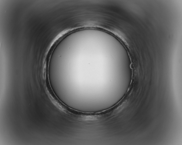 X0000085001126200703121455