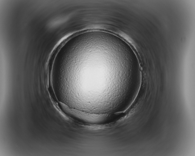 X0000085001127200703121455