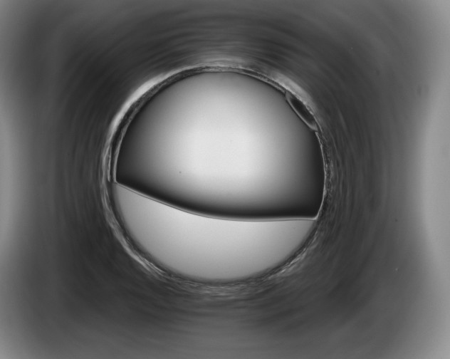 X0000085001128200703121455