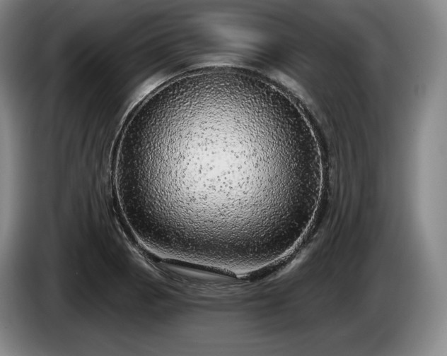 X0000085001129200703121455