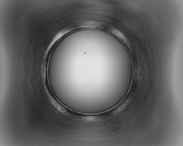 X0000085001130200703121455