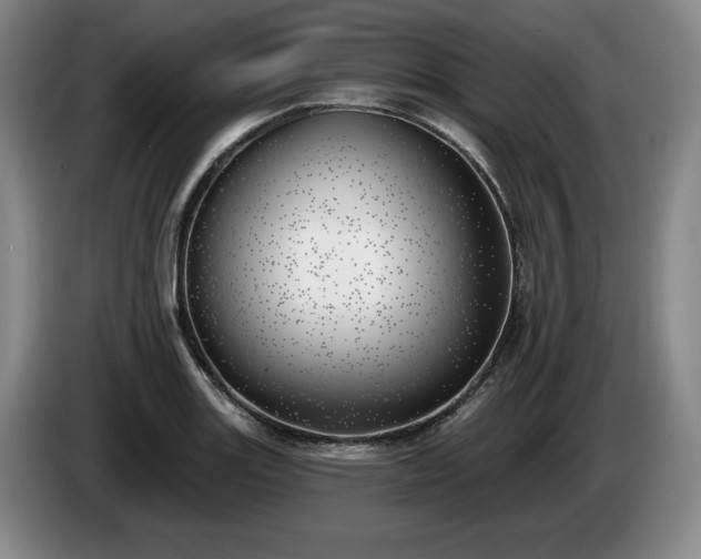 X0000085001131200703121455