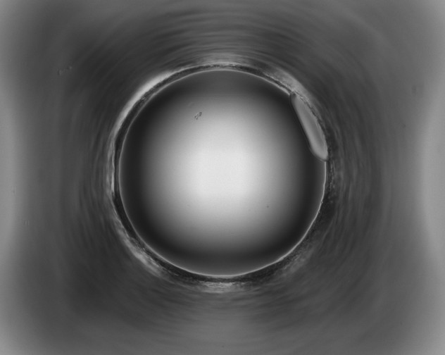 X0000085001132200703121455