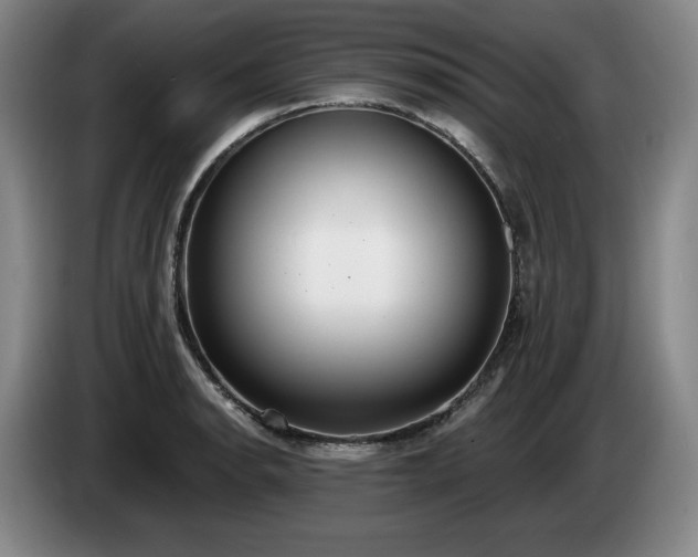 X0000085001134200703121455