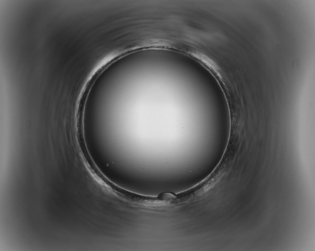 X0000085001135200703121455