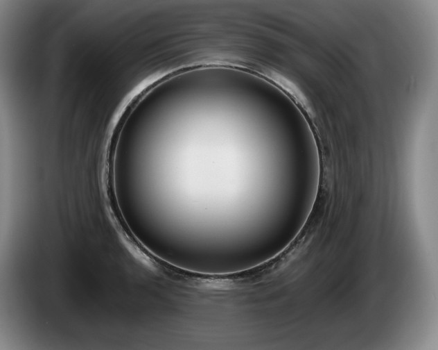 X0000085001136200703121455