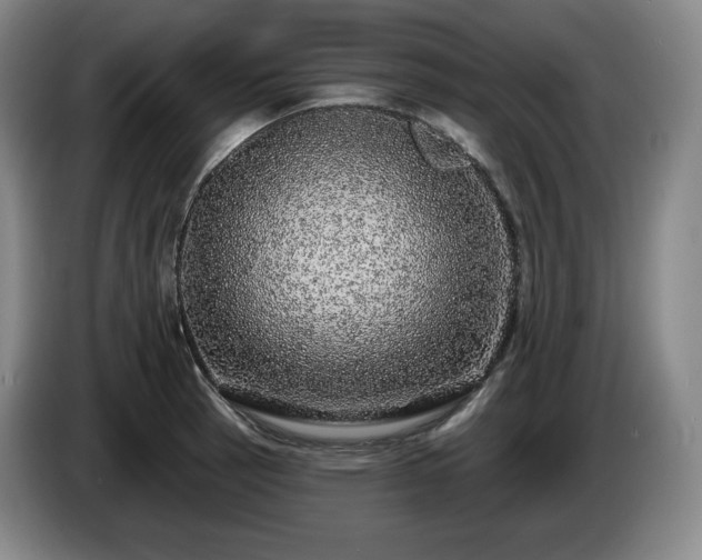 X0000085001137200703121455