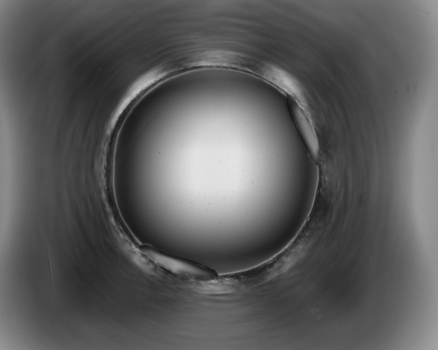 X0000085001138200703121455