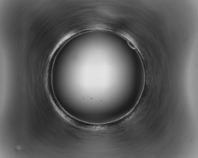 X0000085001139200703121455