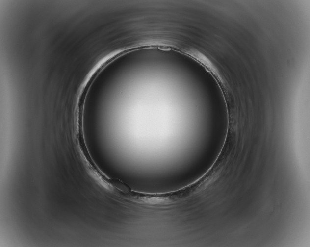 X0000085001140200703121455