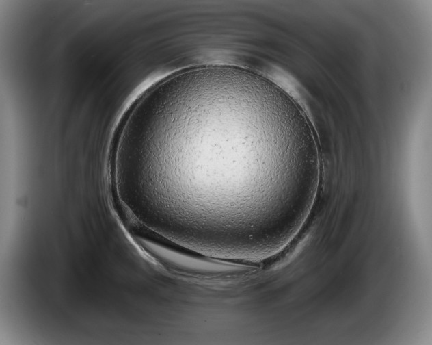 X0000085001141200703121455