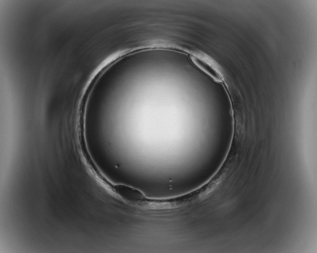 X0000085001142200703121455