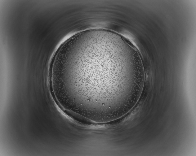 X0000085001143200703121455