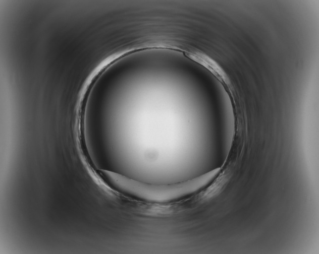 X0000085001144200703121455