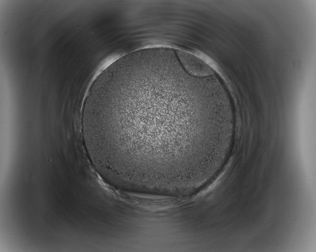 X0000085001145200703121455