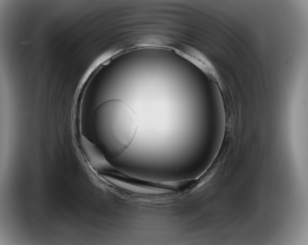 X0000085001146200703121455