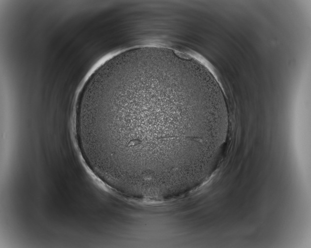 X0000085001147200703121455