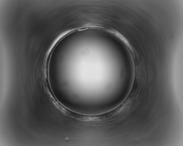 X0000085001148200703121455