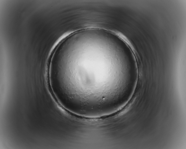 X0000085001149200703121455