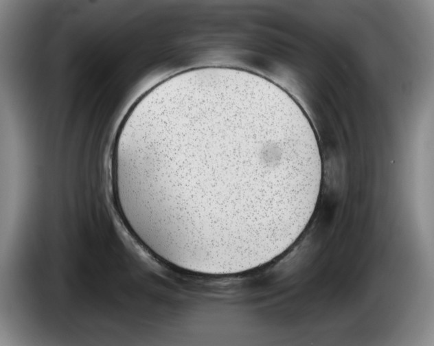 X0000085001150200703121455