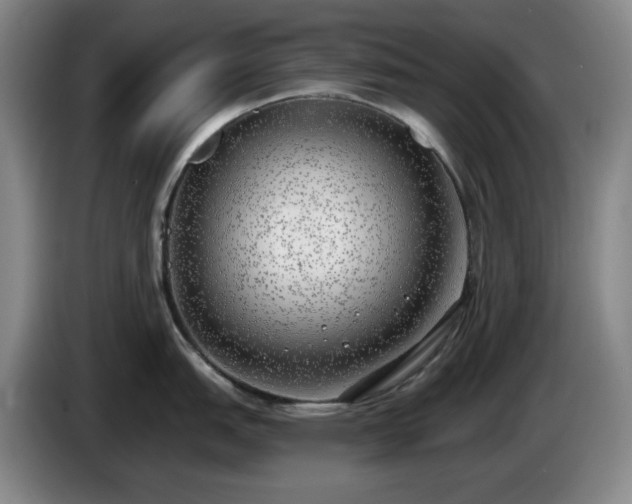 X0000085001151200703121455