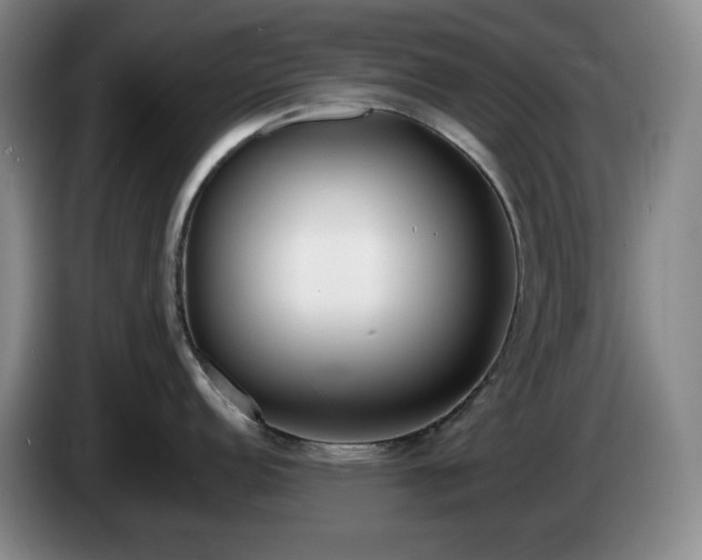 X0000085001152200703121455