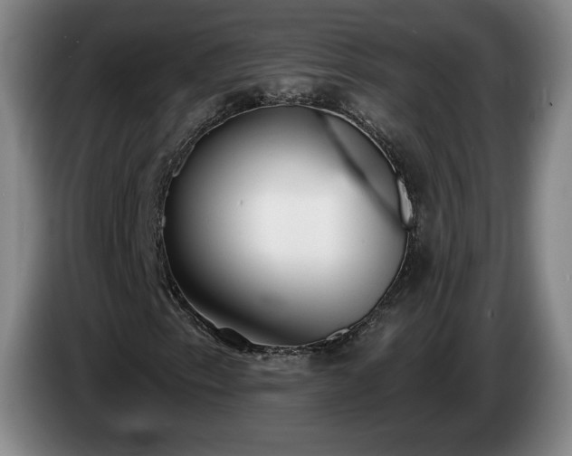 X0000085001153200703121454