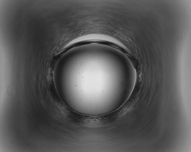 X0000085001156200703121454