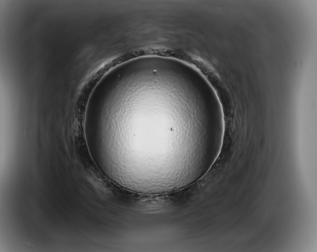 X0000085001159200703121454