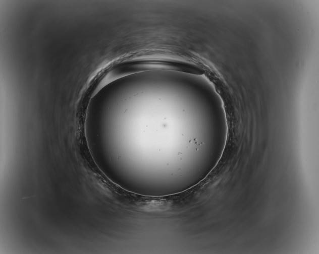 X0000085001160200703121454