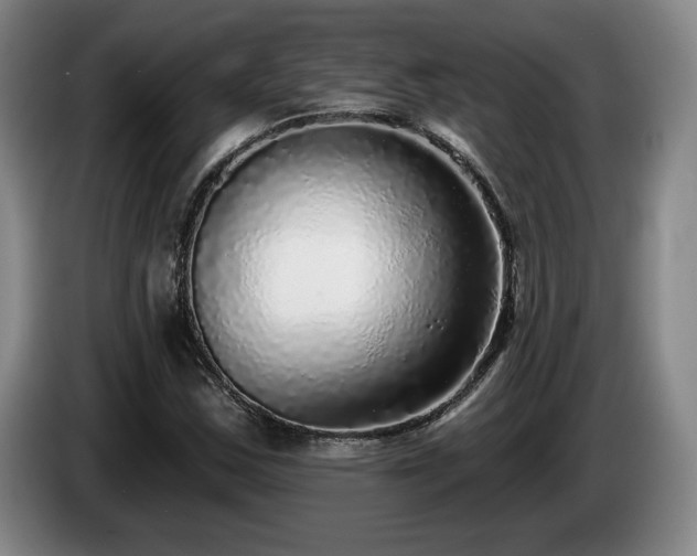 X0000085001163200703121454